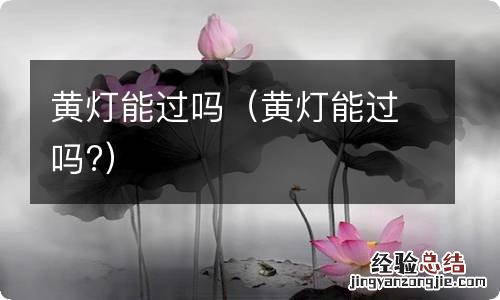 黄灯能过吗? 黄灯能过吗