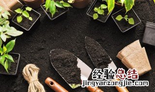 根外追肥属于土壤施肥吗 庭院栽植中根外追肥有哪些要求