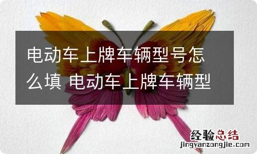 电动车上牌车辆型号怎么填 电动车上牌车辆型号怎么填啊