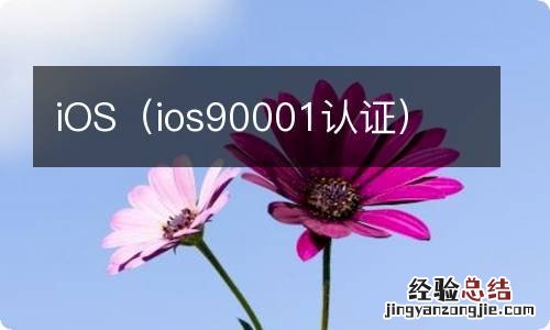 ios90001认证 iOS