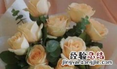 教师节送什么颜色的玫瑰花 教师节送什么颜色的玫瑰花比较好