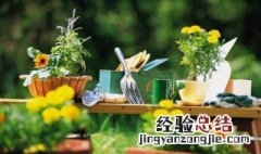 关于植物的常识 关于植物的10个冷知识