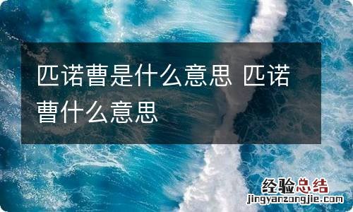 匹诺曹是什么意思 匹诺曹什么意思