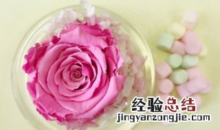 永生花一束大概多少钱 为什么不能送女生永生花