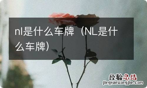 NL是什么车牌 nl是什么车牌