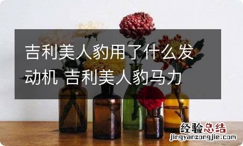 吉利美人豹用了什么发动机 吉利美人豹马力