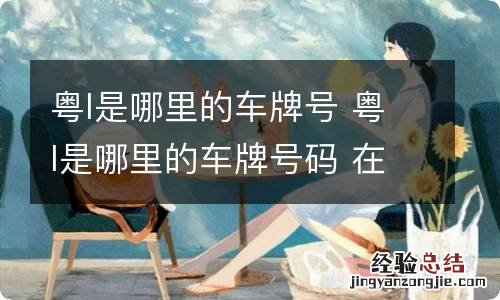 粤l是哪里的车牌号 粤l是哪里的车牌号码 在哪个区