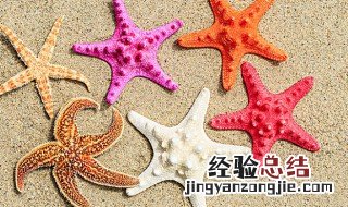 海星食用禁忌 海星禁忌是什么