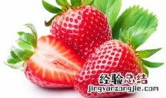 草莓的养护指南 草莓夏季怎么养护