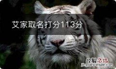 艾家取名打分113分