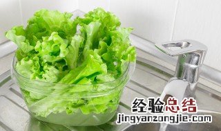 生菜如何保存 生菜如何保存在冰箱