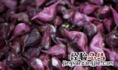 菱角的功效与作用禁忌及食用方法 菱角的功效与作用