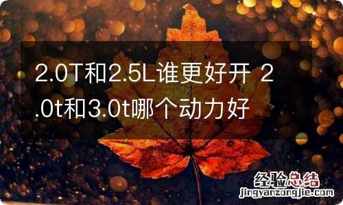 2.0T和2.5L谁更好开 2.0t和3.0t哪个动力好