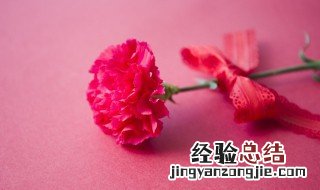 教师节送什么花好看 教师节送什么花好看一点