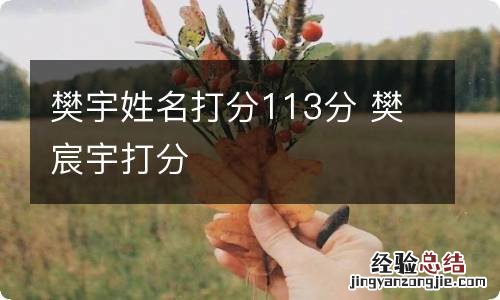 樊宇姓名打分113分 樊宸宇打分