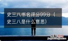 史三八是什么意思 史三八书名评分99分