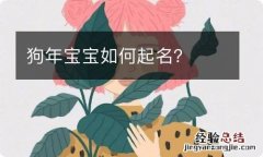 狗年宝宝如何起名？