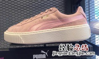 puma是什么意思英语 puma是什么意思