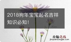 2018狗年宝宝起名吉祥知识必知！