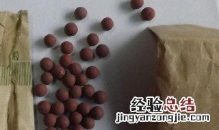 人丹的功效与作用禁忌 人丹有什么功效与作用禁忌