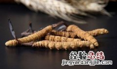 冬虫夏草的禁忌人群 冬虫夏草有哪些人不适合吃