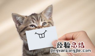 4个字非常贱的名字有哪些 4个字非常贱的名字