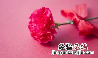 中秋节送什么花给老师 中秋节送什么花