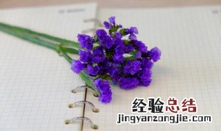 勿忘我送几支寓意 送勿忘我花什么意思