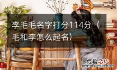 毛和李怎么起名 李毛毛名字打分114分