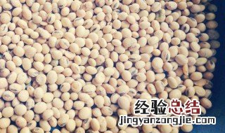 生大豆沤肥的方法 怎么用黄豆做肥料