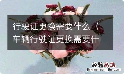 车辆行驶证更换需要什么手续 行驶证更换需要什么