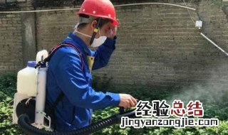 白蚁怎样防治最有效 白蚁怎样防治