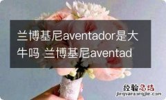 兰博基尼aventador是大牛吗 兰博基尼aventador s