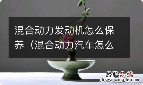 混合动力汽车怎么保养 混合动力发动机怎么保养