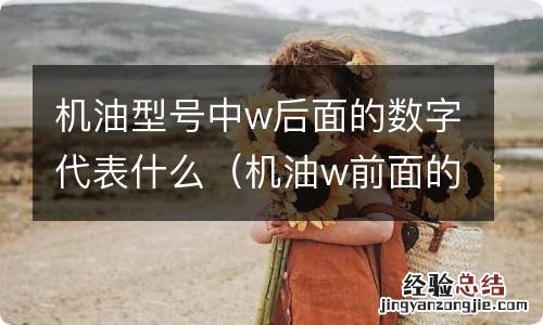 机油w前面的数字 机油型号中w后面的数字代表什么