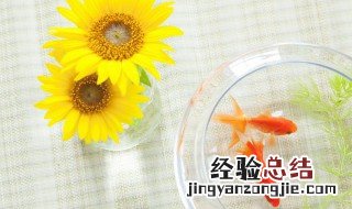 感恩节发朋友圈的句子 适合感恩节发朋友圈的说说