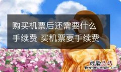 购买机票后还需要什么手续费 买机票要手续费吗