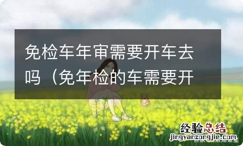 免年检的车需要开车去吗 免检车年审需要开车去吗