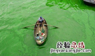 蓝藻是什么 蓝藻是什么生物