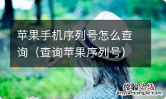 查询苹果序列号 苹果手机序列号怎么查询