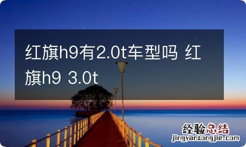 红旗h9有2.0t车型吗 红旗h9 3.0t