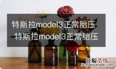 特斯拉model3正常胎压 特斯拉model3正常胎压是多少