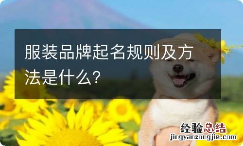 服装品牌起名规则及方法是什么？