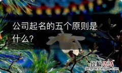 公司起名的五个原则是什么？