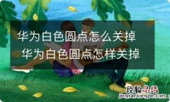 华为白色圆点怎么关掉 华为白色圆点怎样关掉