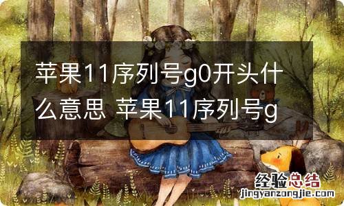 苹果11序列号g0开头什么意思 苹果11序列号g0开头代表什么