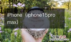 iphone15pro max iPhone