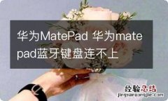 华为MatePad 华为matepad蓝牙键盘连不上