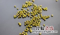 绿豆如何种植 绿豆种植方法