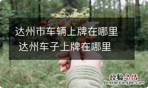 达州市车辆上牌在哪里 达州车子上牌在哪里